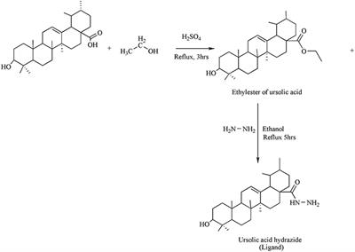 Ursolic Acid Hydrazide Based Organometallic Complexes: Synthesis, Characterization, Antibacterial, Antioxidant, and Docking Studies